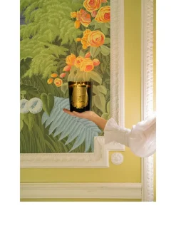 Abd El Kader Intermezzo Candle