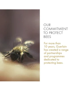 Abeille Royale Cleansing Oil Anti-Pollution