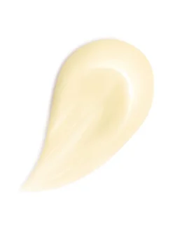 Abeille Royale Honey Treatment Night Cream - The Refill