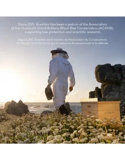 Abeille Royale Youth Watery Oil Serum