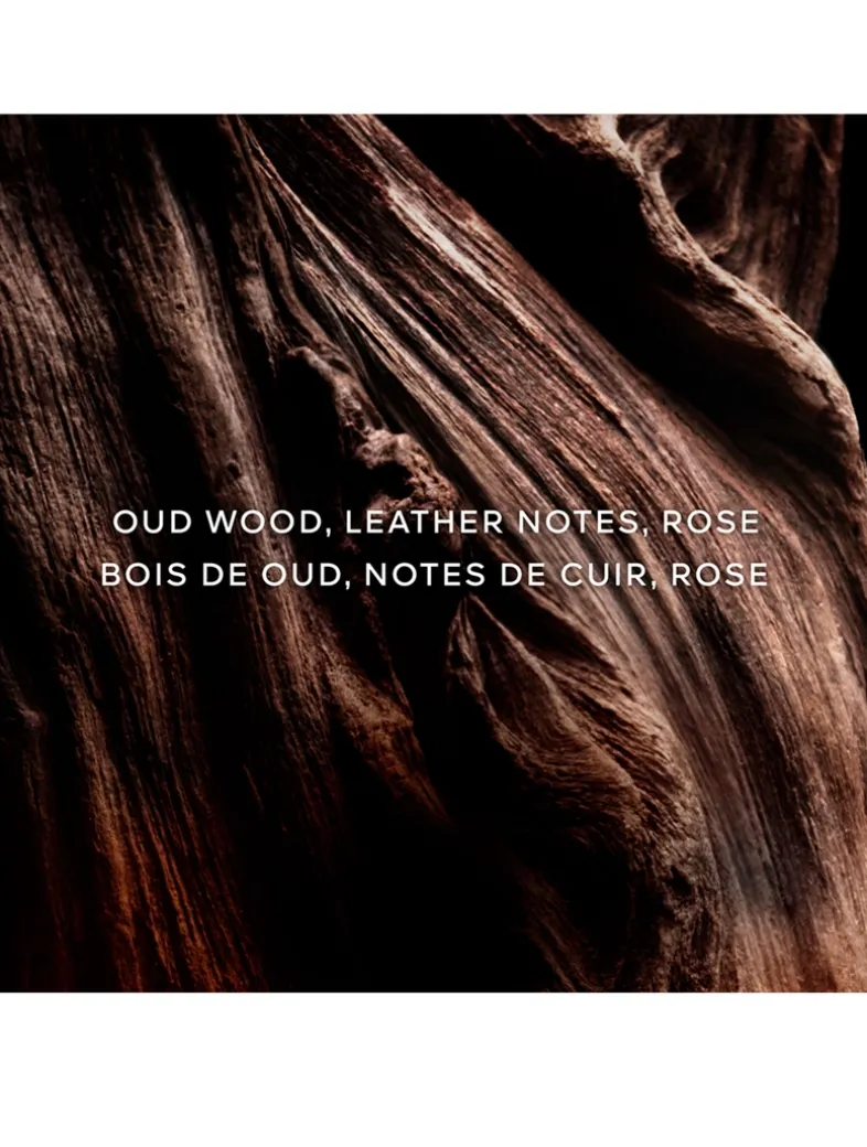 Absolus Allegoria Oud Essentiel Eau de Parfum