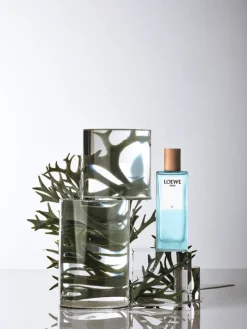 Agua El Eau de Toilette