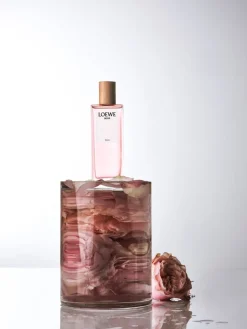 Agua Ella Eau de Toilette