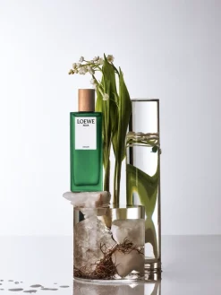 Agua Miami Eau de Toilette