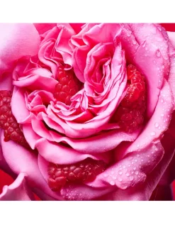 Allegra Fantasia Veneta Eau de Parfum