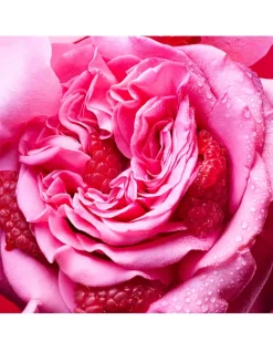 Allegra Fiori d’Amore Eau de Parfum