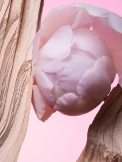 Allegra Insieme Eau de Parfum