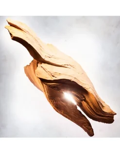 Allegra Magnifying Sandalwood Essence