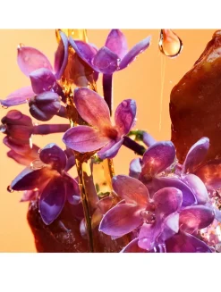 Allegra Rock'N'Rome Eau de Parfum