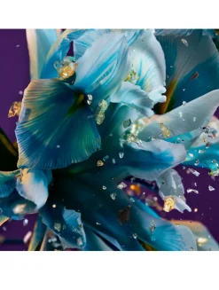 Allegra Spettacolore Eau De Parfum