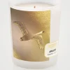 Apeliotes Scented Candle