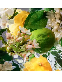 Aqua Allegoria Bergamote Calabria Eau de Toilette