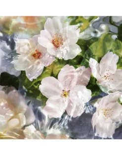 Aqua Allegoria Flora Cherrysia Eau de Toilette - Refill