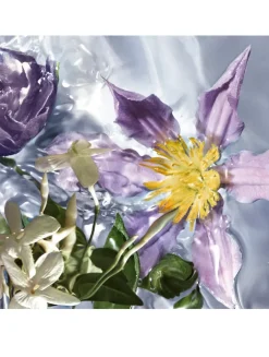 Aqua Allegoria Flora Salvaggia Eau de Toilette