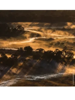 Aqua Allegoria Forte Bosca Vanilla Eau de Parfum