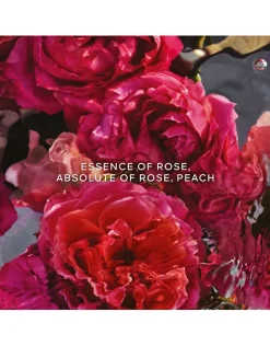 Aqua Allegoria Forte Rosa Rossa Eau de Parfum - Refill