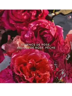 Aqua Allegoria Forte Rosa Rossa Eau de Parfum - Refill