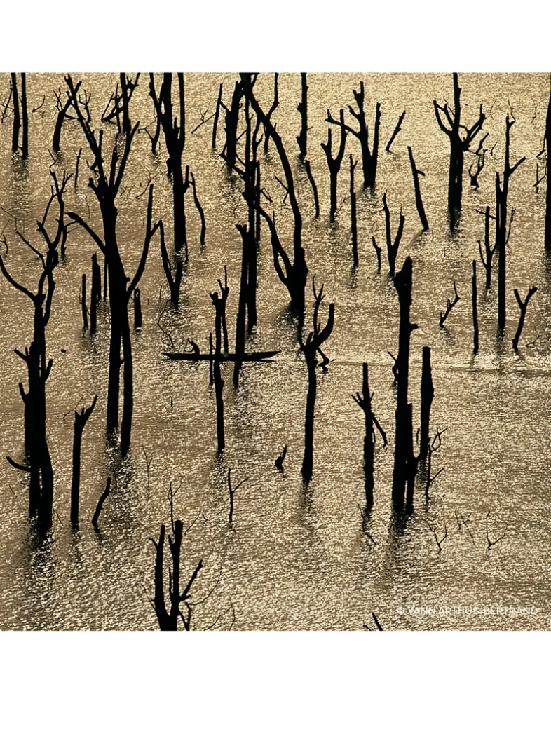 Aqua Allegoria Forte Rosa Rossa Eau de Parfum - Refill