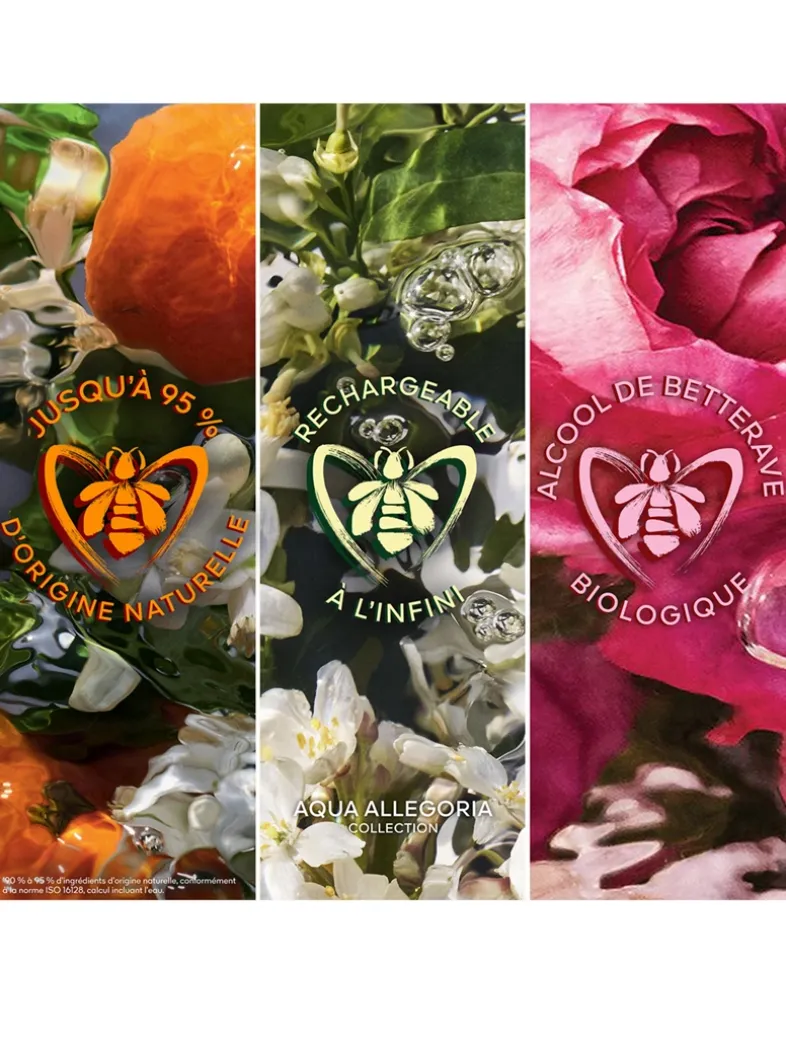 Aqua Allegoria Forte Rosa Palissandro Eau de Parfum