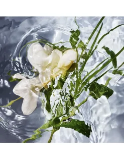 Aqua Allegoria Herba Fresca Eau de Toilette