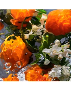 Aqua Allegoria Mandarine Basilic Eau de Toilette