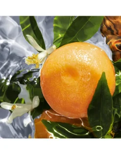 Aqua Allegoria Pamplelune Eau de Toilette - Refill