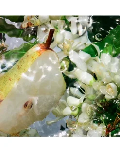 Aqua Allegoria Pera Granita Eau de Toilette - Refill