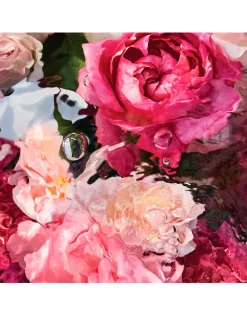 Aqua Allegoria Rosa Rossa Eau de Toilette