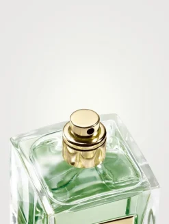 Armani/Privé  Cyprès Pantelleria  Eau De Toilette