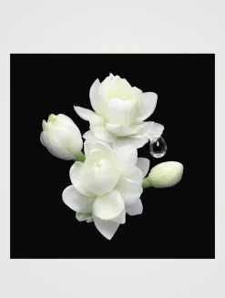 Armani/Privé Jasmin Kusamono Eau de Toilette