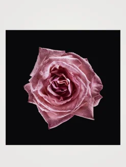 Armani/Privé Rose Milano Eau de Toilette