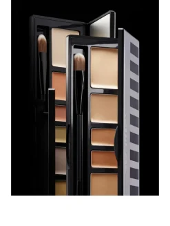 Artist Concealer Palette
