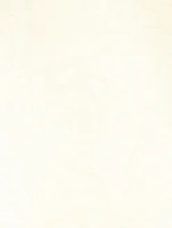 Asymmetric Paisley Jacquard Skirt