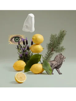 Blenheim Bouquet Eau de Toilette