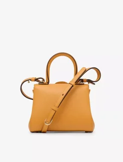 Brillant Mini S Rodéo Calf