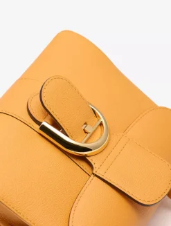 Brillant Mini S Rodéo Calf