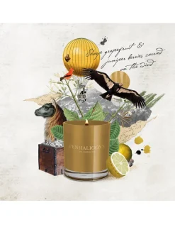 Callsaya Bark Candle