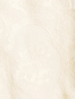 Cascadian Lace Mini Dress