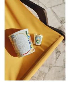 Citronnelle (Lemongrass) Indoor & Outdoor Scented Candle