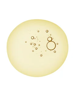 Compound K Hyaluronic Booster