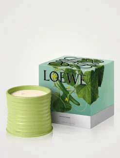 Cucumber Candle