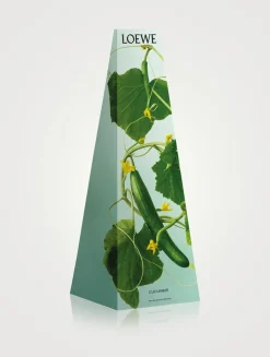 Cucumber Wax Candleholder