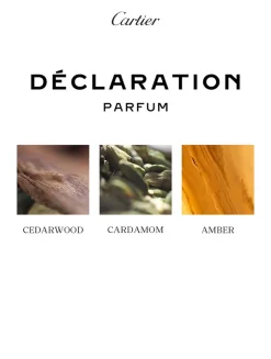 Déclaration Parfum