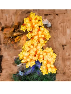 De Los Santos Eau De Parfum