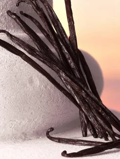 Devotion Intense Eau de Parfum