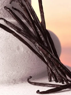 Devotion Intense Eau de Parfum