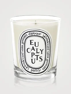Eucalyptus Scented Candle