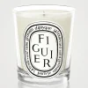 Figuier (Fig) Scented Candle