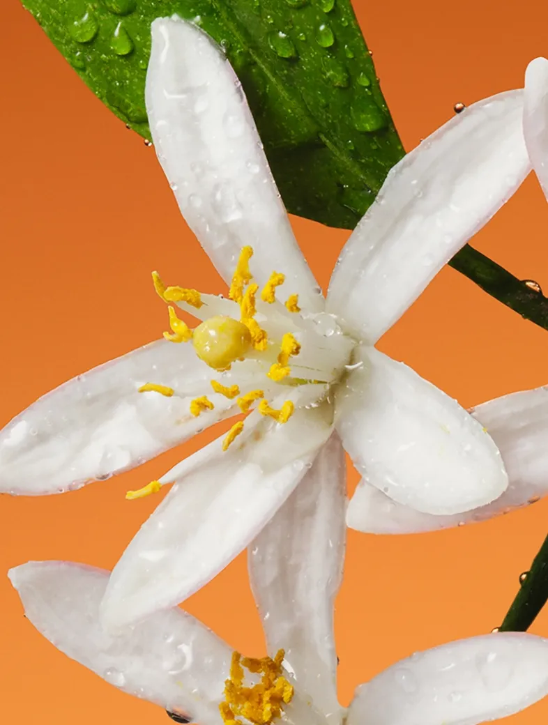 Fiori di Neroli Eau de Parfum