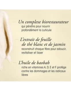 Gold Lust Transformative Masque